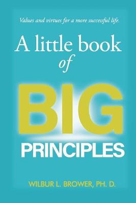 Book cover for A Little Book of Big Principles