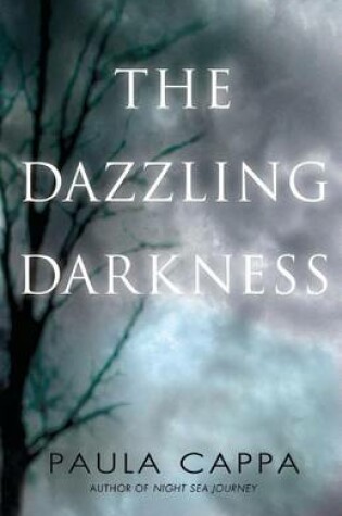 Cover of The Dazzling Darkness