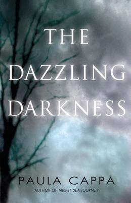 Book cover for The Dazzling Darkness