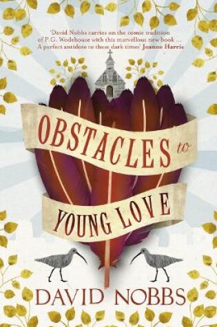 Cover of Obstacles to Young Love