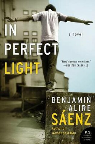 Cover of In Perfect Light