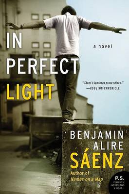 Book cover for In Perfect Light