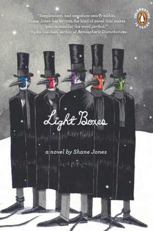 Cover of Light Boxes