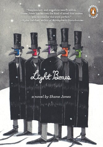 Book cover for Light Boxes