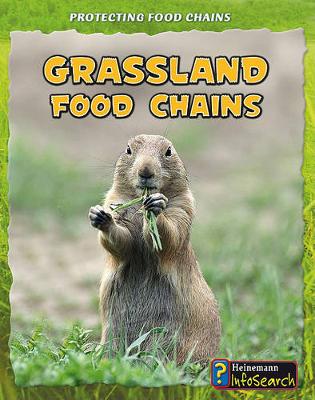 Book cover for Protecting Food Chains Grassland Food Chains