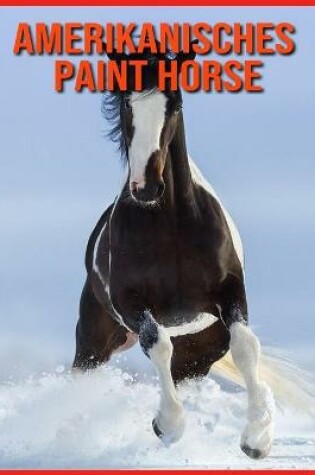 Cover of Amerikanisches Paint Horse