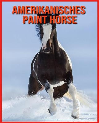 Book cover for Amerikanisches Paint Horse