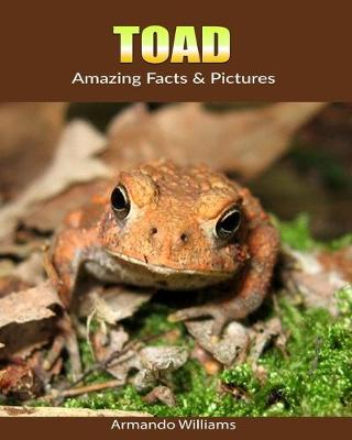 Book cover for Toad