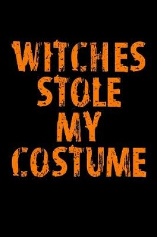 Cover of Witches Stole My Costume