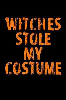 Book cover for Witches Stole My Costume