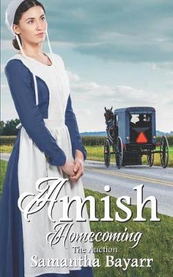 Book cover for Amish Romance