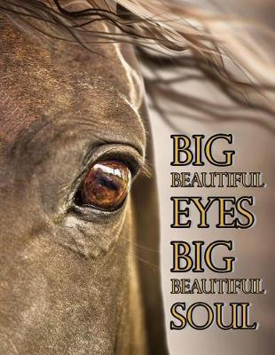 Book cover for Big Beautiful Eyes Big Beautiful Soul