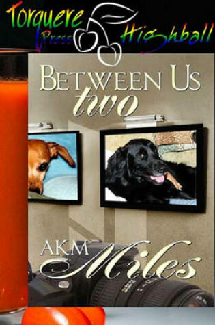 Cover of Between Us Two