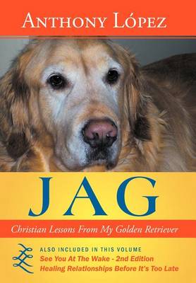 Book cover for Jag