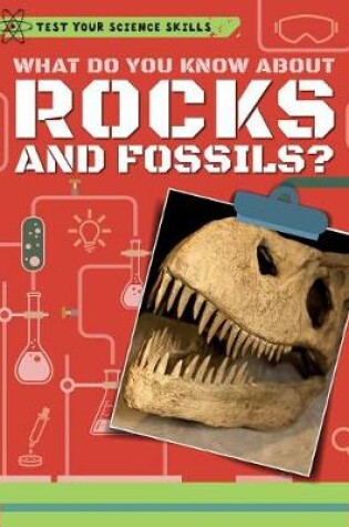 Cover of What Do You Know about Rocks and Fossils?