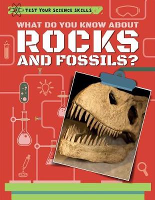 Book cover for What Do You Know about Rocks and Fossils?
