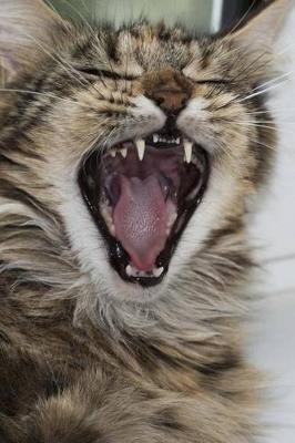 Book cover for Maine Coon Cat Journal "Singing the Song of My People - Stray Cat Strut!"