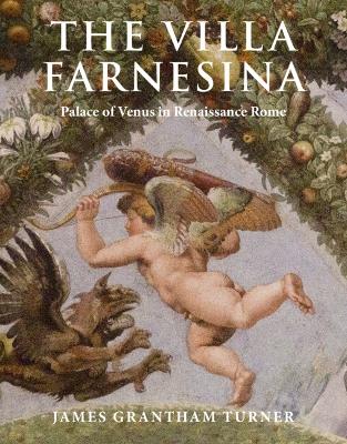 Book cover for The Villa Farnesina