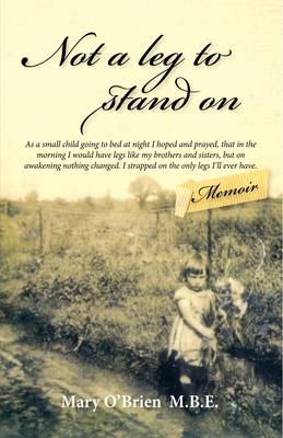 Book cover for Not a Leg to Stand on