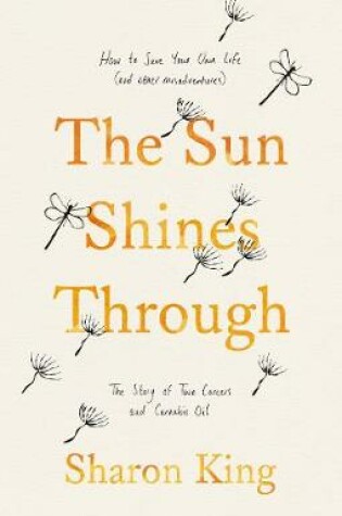 Cover of The Sun Shines Through