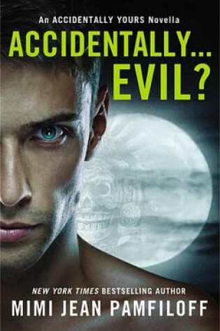 Cover of Accidentally...Evil?