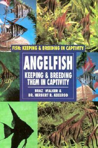 Cover of Angelfish: Keeping and Breeding Them in Captivity
