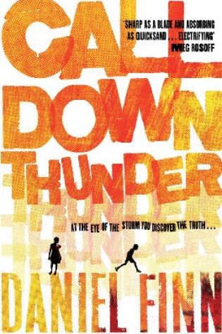 Cover of Call Down Thunder