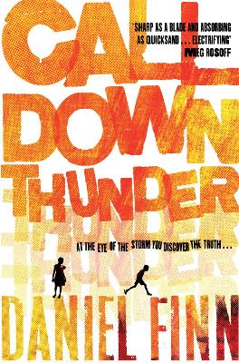 Book cover for Call Down Thunder