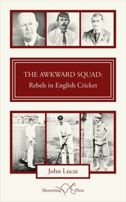 Book cover for The Awkward Squad