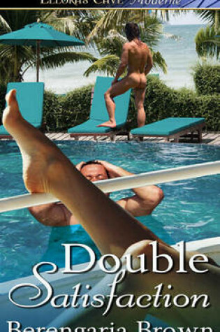 Cover of Double Satisfaction