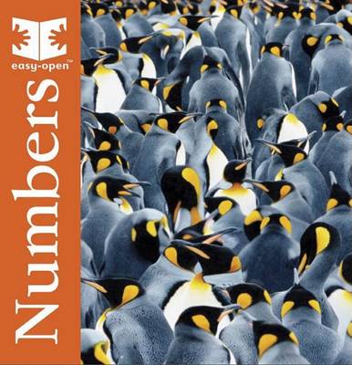 Cover of Numbers