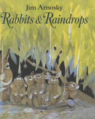 Book cover for Rabbits & Raindrops