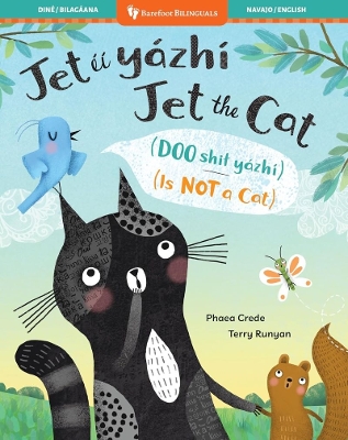 Book cover for Jet the Cat (Is Not a Cat) (Bilingual Navajo & English)