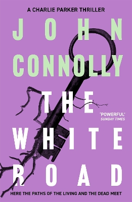 Book cover for The White Road