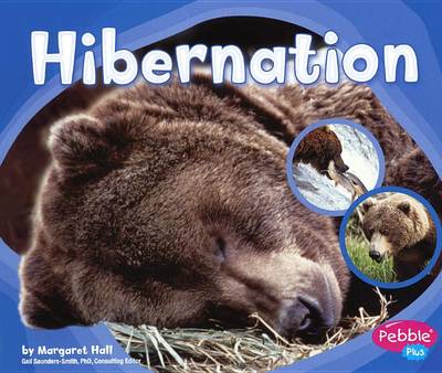 Cover of Hibernation