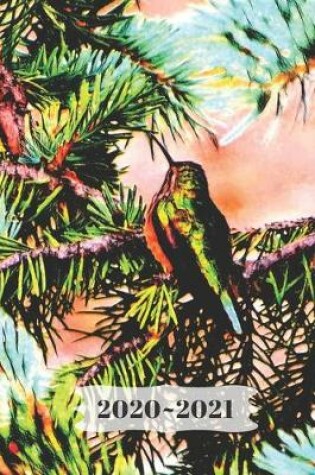 Cover of Tiny Cute Shiny Green Hummingbird on a Evergreen Branch Pine Tree Diary, Pretty Journal for Daily Thoughts