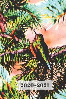 Cover of Tiny Cute Shiny Green Hummingbird on a Evergreen Branch Pine Tree Diary, Pretty Journal for Daily Thoughts