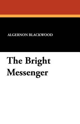 Book cover for The Bright Messenger