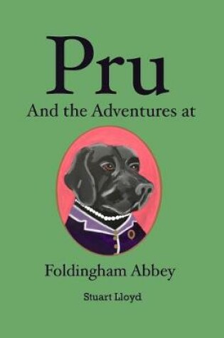 Cover of Pru And the Adventures at Foldingham Abbey