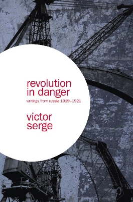 Book cover for Revolution In Danger