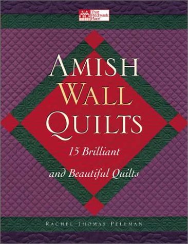 Book cover for Amish Wall Quilts