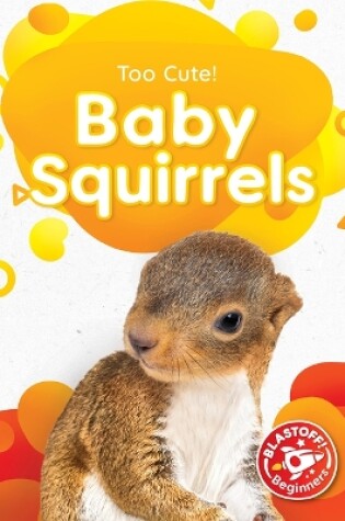 Cover of Baby Squirrels