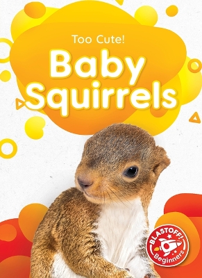 Cover of Baby Squirrels