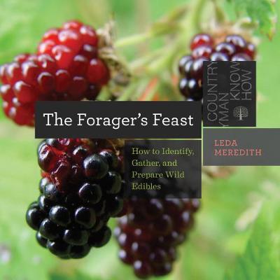 Book cover for The Forager's Feast