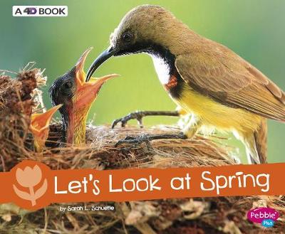 Cover of Let's Look at Spring