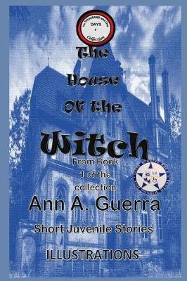 Book cover for The House of the Witch