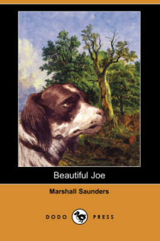 Cover of Beautiful Joe (Dodo Press)