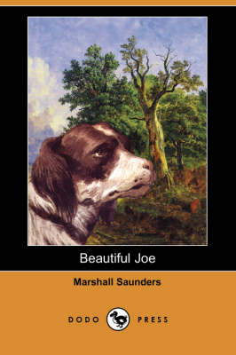 Book cover for Beautiful Joe (Dodo Press)