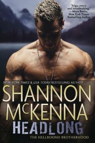 Master of Lies - Shannon McKenna  New York Times Bestselling Author