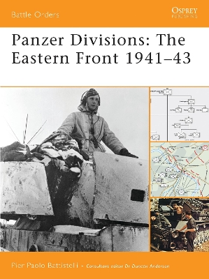 Book cover for Panzer Divisions